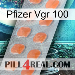 Pfizer Vgr 100 26